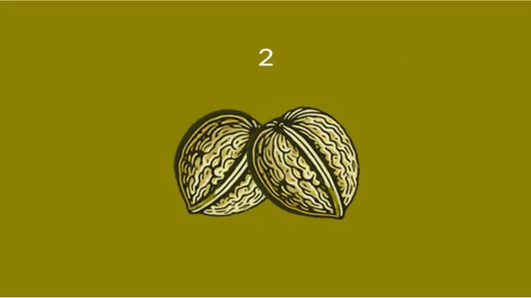 Nuts - jogos gratuitos