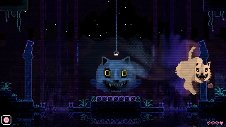 animal well xbox
