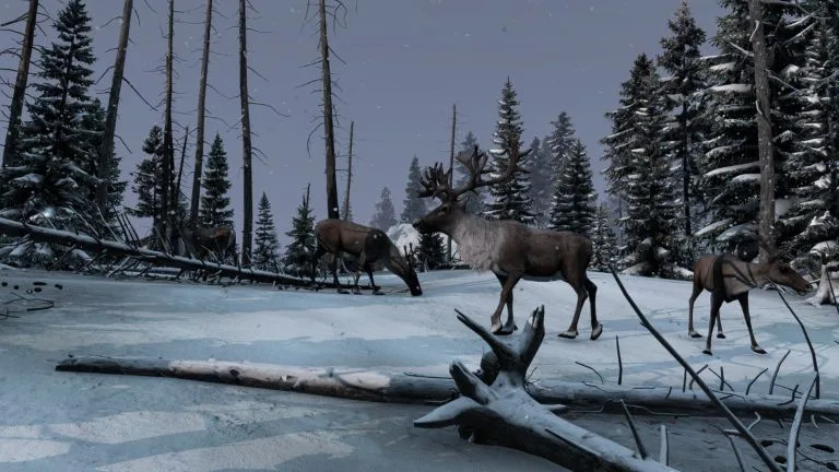 dayz frostline
